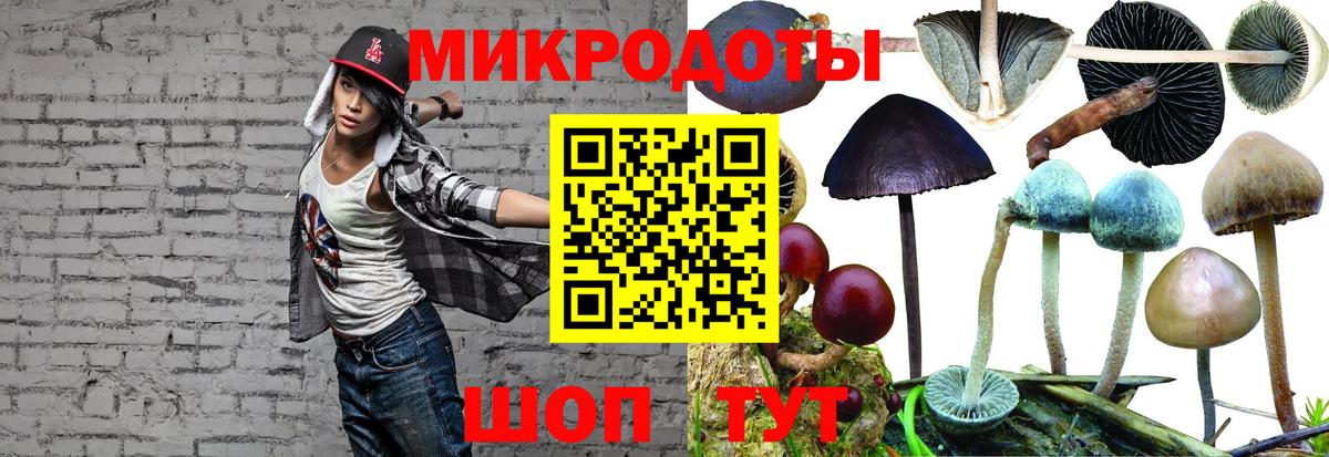 Галлюциногенные грибы мицелий  Вход с VPN  Алатырь 